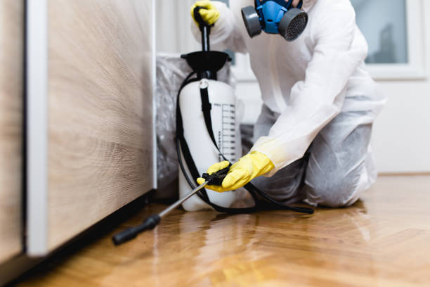 Best Flea Control Services  in Godley, TX