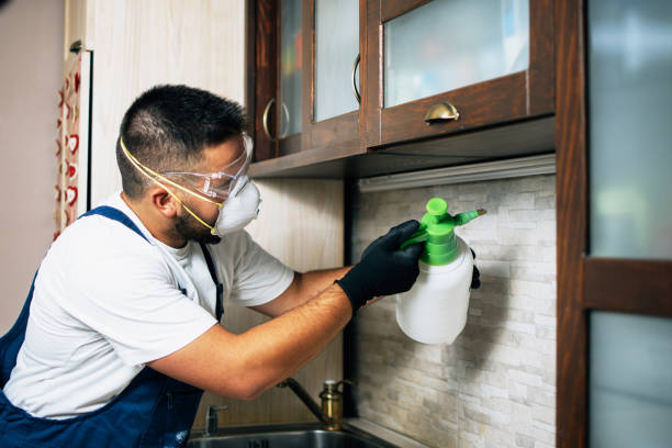 Flea Control Services in Godley, TX