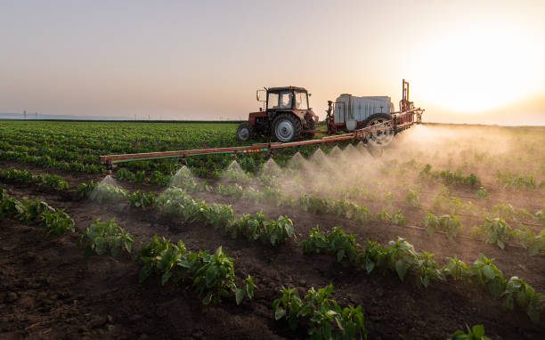 Best Mosquito Control Services  in Godley, TX