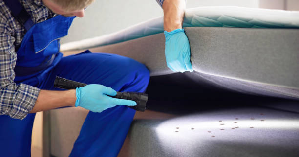 Flea Control Services in Godley, TX