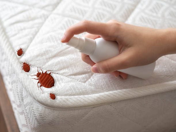 Best Mosquito Control Services  in Godley, TX