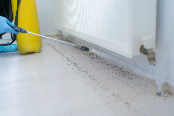 Best Pest Control Near Me in Godley, TX