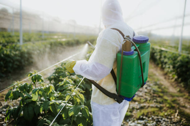 Best Flea Control Services  in Godley, TX